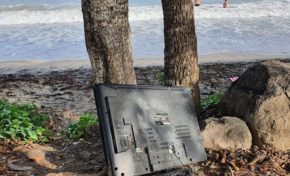 La Collectivité Territoriale de Martinique doit-elle organiser un congrès pour la protection de l'environnement  ?