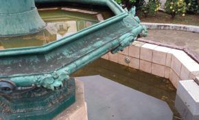 Martinique : la ville de Fort-de-France élève des moustiques aedes aegypti en eau douce...en douce