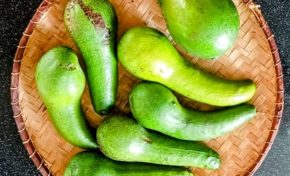 Martinique : Alfred Marie-Jeanne répond vertement à Louis Boutrin l'avocat du Carbet qui se rapproche de Trénelle