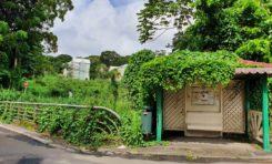 La Martinique invente l'abribus végétalisé