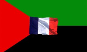 LA CTM ET LE DÉBAT SUR LE DRAPEAU DE LA MARTINIQUE