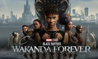 Martinique : "J'ai vu Black Panther 2 WAKANDA FOREVER les spectateurs ont applaudi deux fois à la fin"