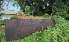 Image du jour 11/01/23 - Habitation Bochette - Chlordécone - Bernard Hayot - Martinique