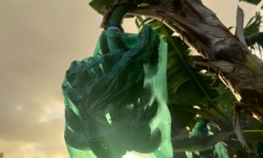 Visite du Ministre délégué aux outre-mer en Martinique… Banamart banane les petits planteurs