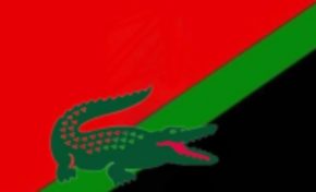 L'image du jour 17/01/23 - Martinique -Drapeau