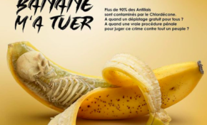 Adrien Cachot invite la chlordécone et la banane 🍌 à Top Chef