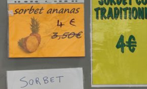 Le cours de l'ananas 🍍🍍grimpe à la Foire de Paris