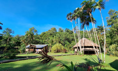 Le Camp Cisame, une expérience unique en pleine forêt amazonienne