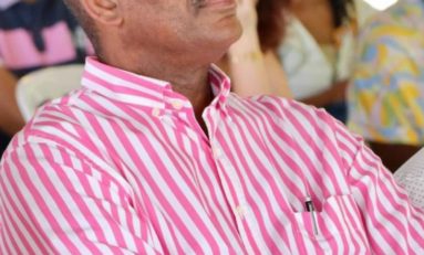 Collectivité Territoriale de Martinique : Philippe Edmond-Mariette jette les "*ponges"