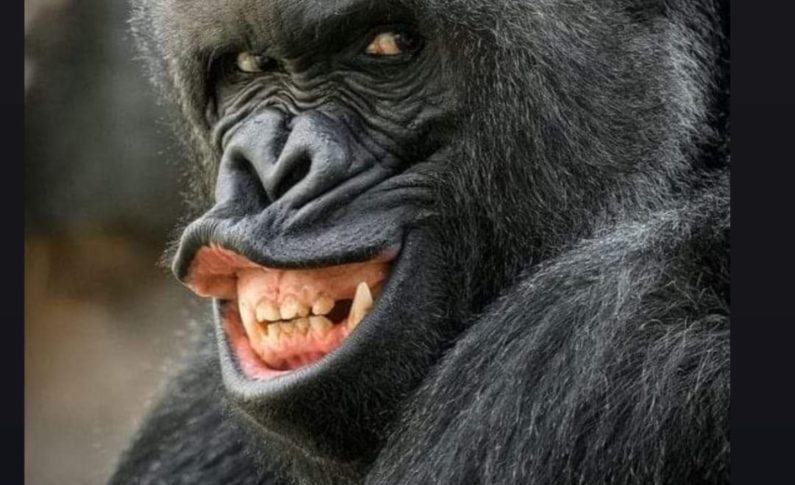 "Ah bon...tiens tiens...il y a des ARMES qui circulent et prennent de la HAUTEUR en Martinique...ah bon...sérieux  ?"