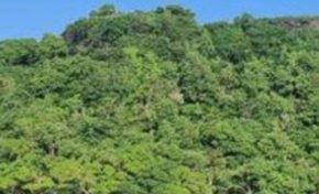 L'image du jour 07/08/23 - Îlet Ramiers - Martinique