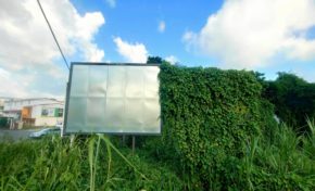 Les annonceurs sont dans le rouge...la publicité se met au vert en Martinique