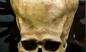 Boskafit ? Fatness or Fitness ?