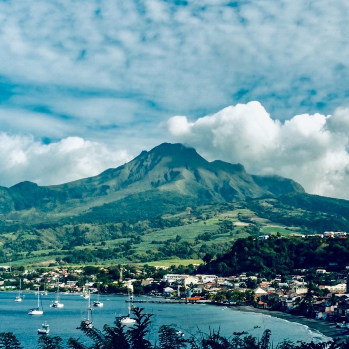 actualité en martinique aujourd hui