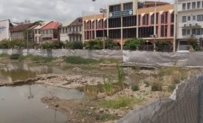 Environnement/Biodiversité/Écologie en Martinique : découvrez le lac de la savane à Fort-de-France