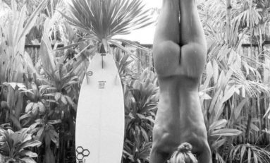 La planche et le poirier