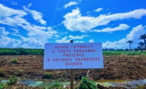 L'image du jour 19/10/23 - Georges - Crocodile - Lamentin - Martinique