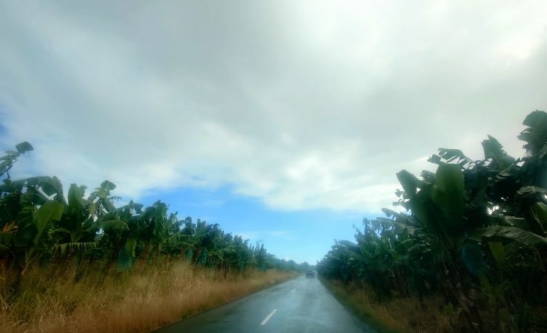 Eddie Marajo... c'est du glyphosate  ou le réchauffement climatique ? 😁😅🥳