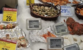 Martinique : entre POISON et POISSON...peut-on choisir ?