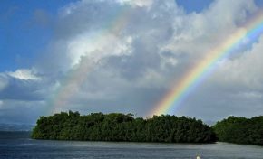 Images du jour 26/01/24 - Arc-en-ciel  - Trois-Îlets - Martinique