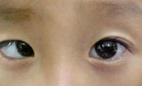 La phrase politique du jour - 30/01/24 - Martinique