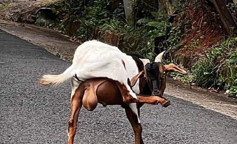 Liberté et équi...libre