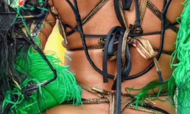 Carnaval en Martinique et en Guadeloupe : Touni or not touni ?