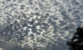 Odeurs de gaz au Collège Petit-Manoir au Lamentin en Martinique