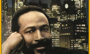 Le groupe WhatsApp LASS MANTI serait administré par un Community Manager de la Collectivité Territoriale de Martinique