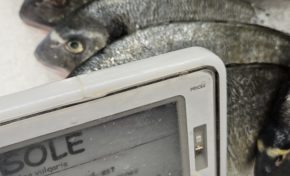 59, 90€ le kilo de sole en Martinique et ça ce n'est pas un poisson d'avril