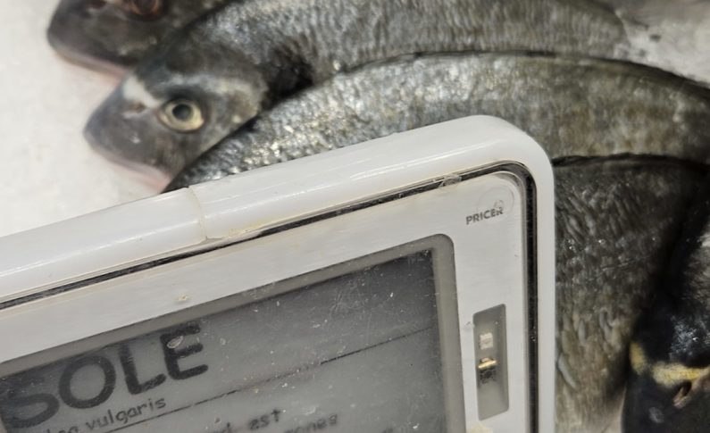 Le prix du poisson a la pêche en Martinique