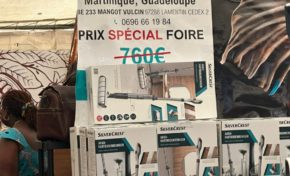 Martinique : une foire avec des putains d'enfoirés dedans ? ...