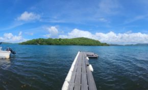 L'image du jour 19/06/24 - Robert - Petite Martinique