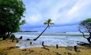 L'image du jour 02/07/24 - Beryl - Plage des salines - Martinique