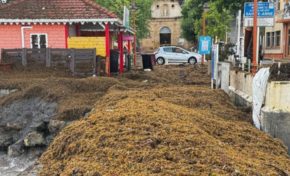 Images du jour 02/07/24 - Sainte-Anne  - Martinique