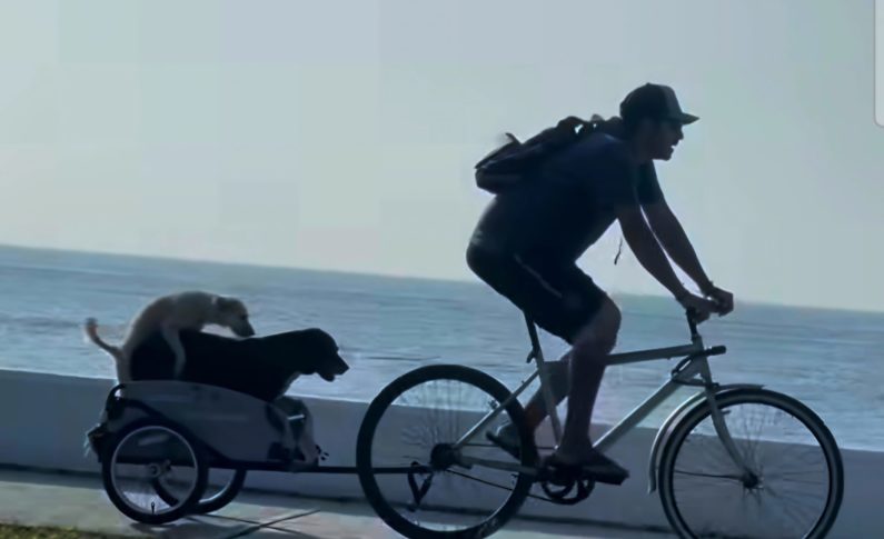 🎶🎶🎶À bicyclette...🚴‍♂️🚴‍♂️🍆🍆🎶🎶🎶