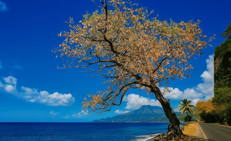 Image du jour 13/04/25 Carbet/Saint-Pierre - Martinique
