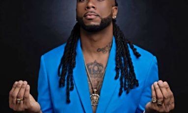 Vente aux enchères publiques de véhicules sur le parc de la Collectivité Territoriale de Martinique ...l'humoriste Bobi vit ça bien ! !