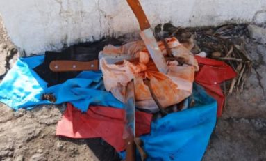 Retour en force du QUIMBOIS en Martinique