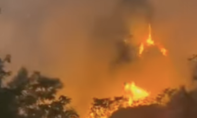 Incendie de broussailles à Saint-Pierre en Martinique