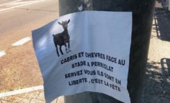 L'image du jour 19/09/25 - Dostaly - François Martinique