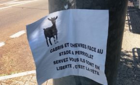 L'image du jour 19/09/25 - Dostaly - François Martinique