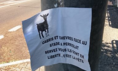 L'image du jour 19/09/25 - Dostaly - François Martinique