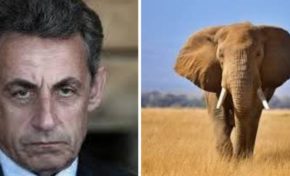 Sarkozy et l’Eléphant