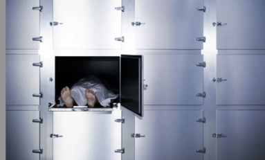 Homicides volontaires aux Antilles françaises en 2025...la Martinique se rapproche de la Guadeloupe