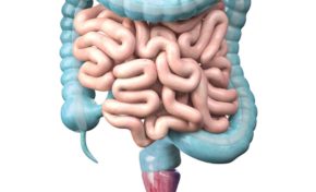 Affaire SODEM les prévenus convoqués le 4 décembre 2025 en appel à Paris...ça va chier...le vrai  !!!