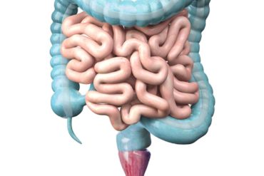 Affaire SODEM les prévenus convoqués le 4 décembre 2025 en appel à Paris...ça va chier...le vrai  !!!