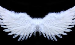 QUI veut couper les "L" du PPM ?