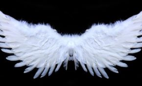 QUI veut couper les "L" du PPM ?