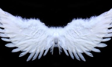 QUI veut couper les "L" du PPM ?